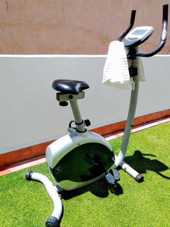 Large Apartment With Large And Sunny Terrace - Garden & Outdoor Gym , Alicante Center Dış mekan fotoğraf